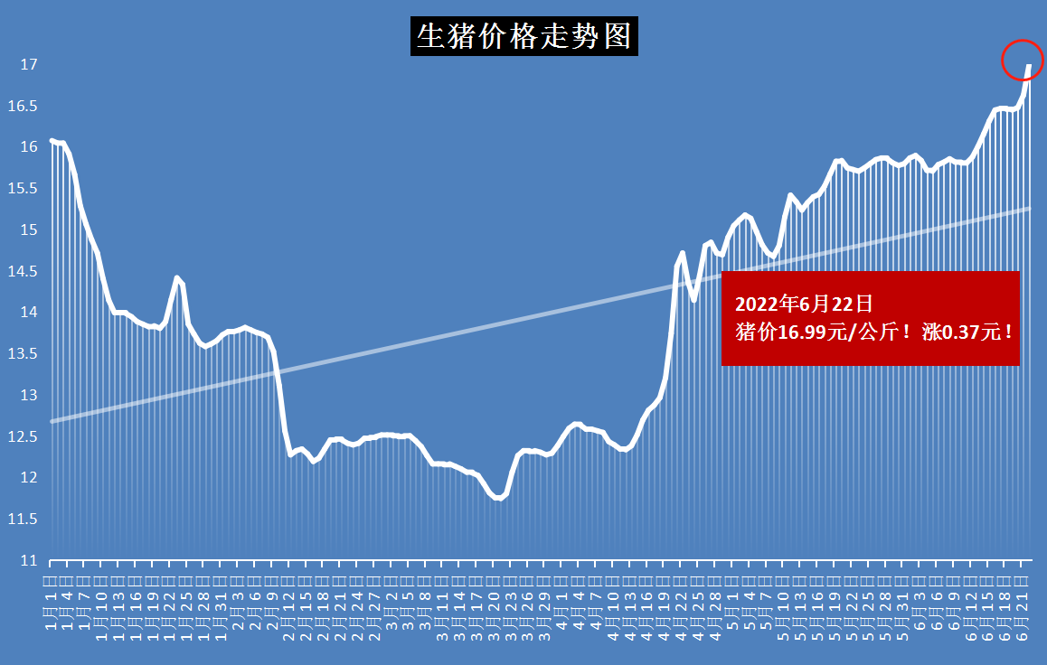 组织文化艺术交流活动 第20页